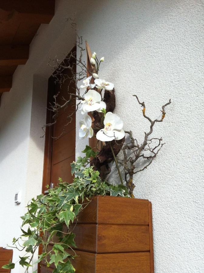 Aria D'argento & Relax Trento
